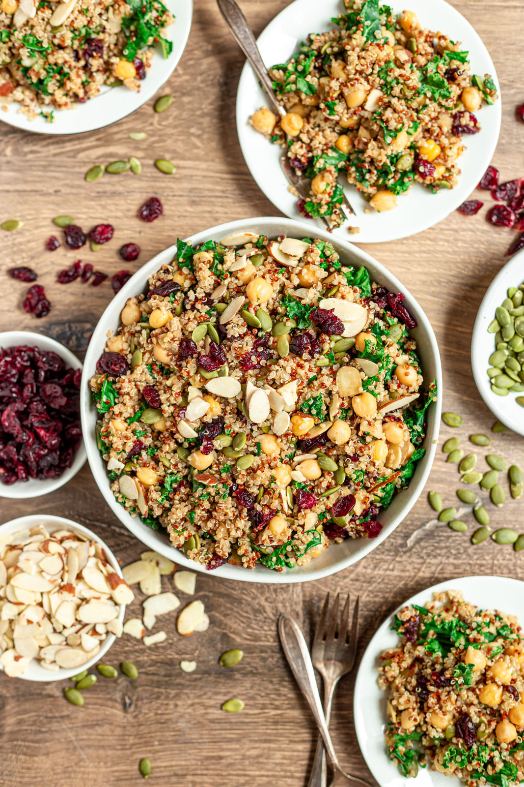 Quinoa Chickpea Salad with Cranberries